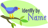Identify by name
